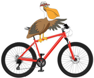 Pelican riding a bike